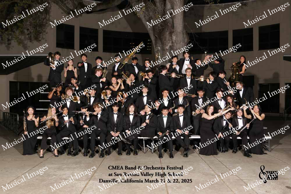 Musical Images
